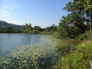Lake near Venilale